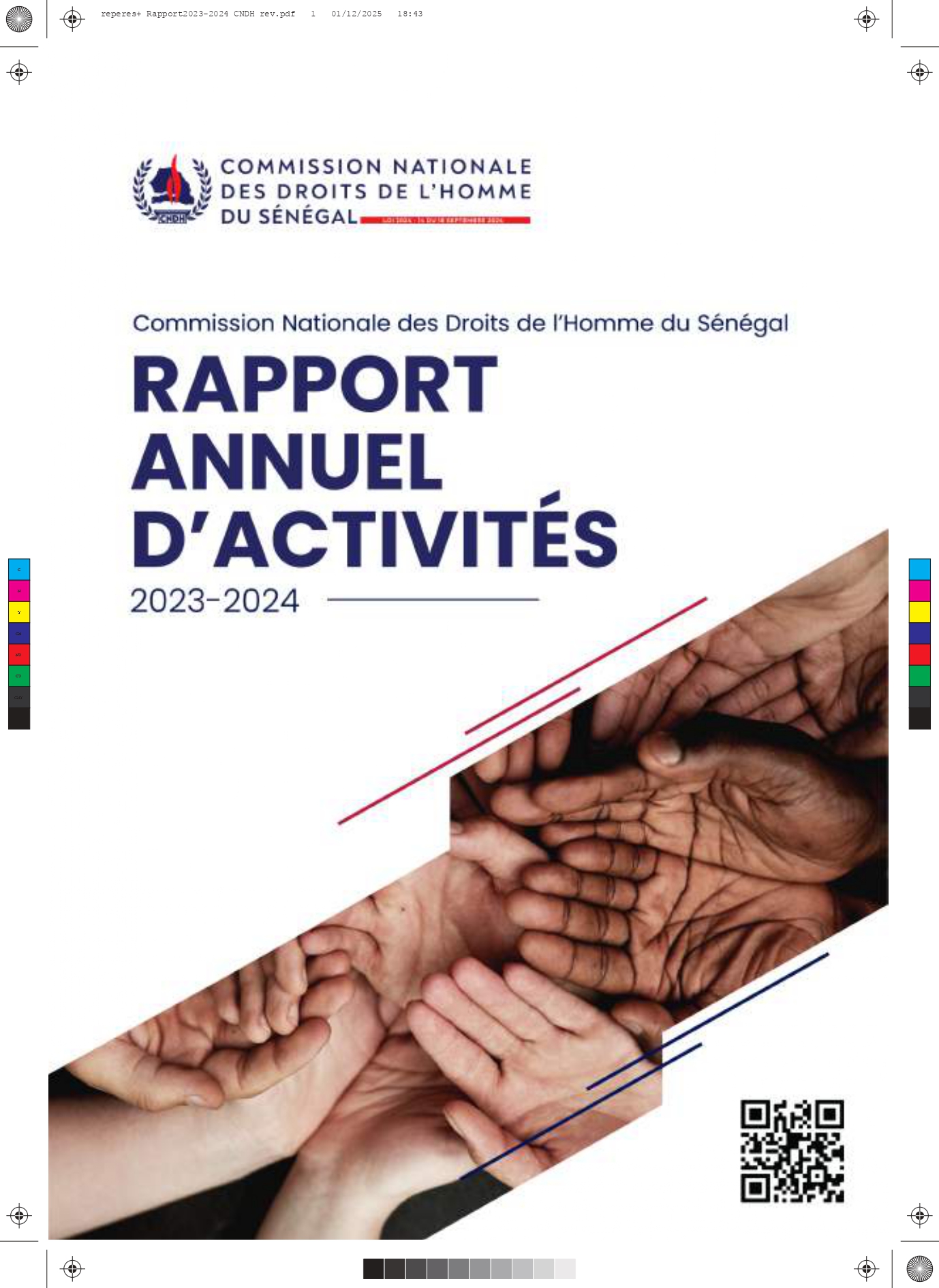 Rapport Annuel 2023-2024
